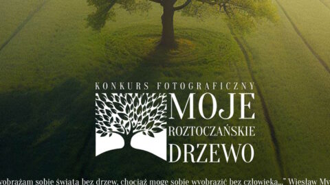 Konkurs "Moje Roztoczańskie Drzewo"
