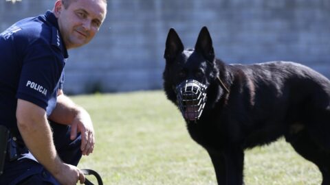 Policyjny owczarek Ikolo i jego przewodnik odeszli na emeryturę