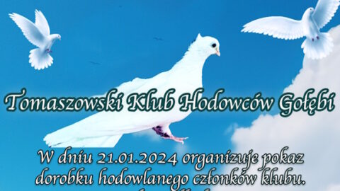 Wystawa gołębi