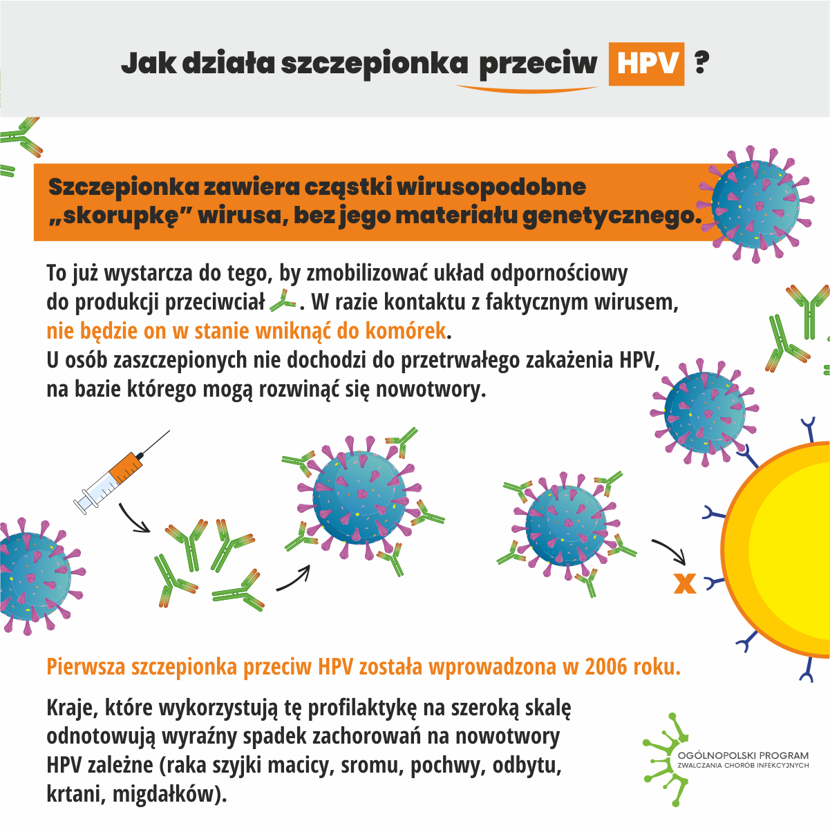 Szczepienia przeciw HPV_infograph
