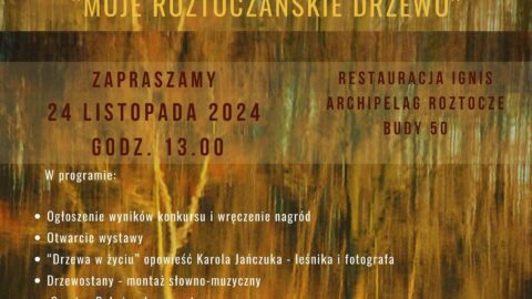 Moje roztoczańskie drzewo