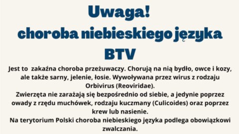 UWAGA! Choroba niebieskiego języka (pryszczyca) stwierdzona w Niemczech