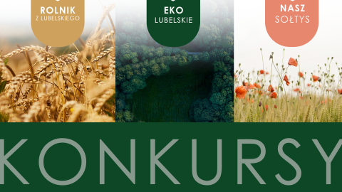 Konkursy