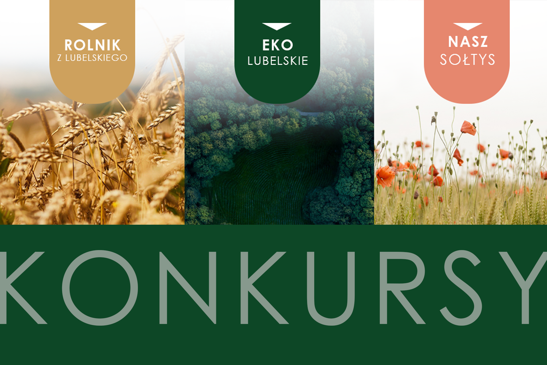 Konkursy