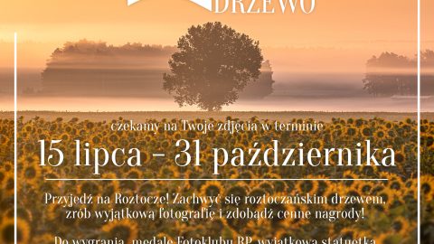 Plakat informujący o konkursie Moje Roztoczańskie Drzewo