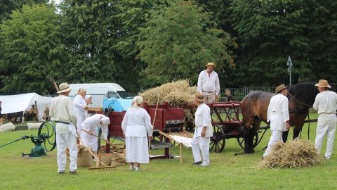 Drewniany wóz zaprzężony w konia, wypełniony snopami skoszonego zboża. Obok i na wozie stoją żniwiarze ubrani na biało, odtwarzający scenę tradycyjnych żniw.