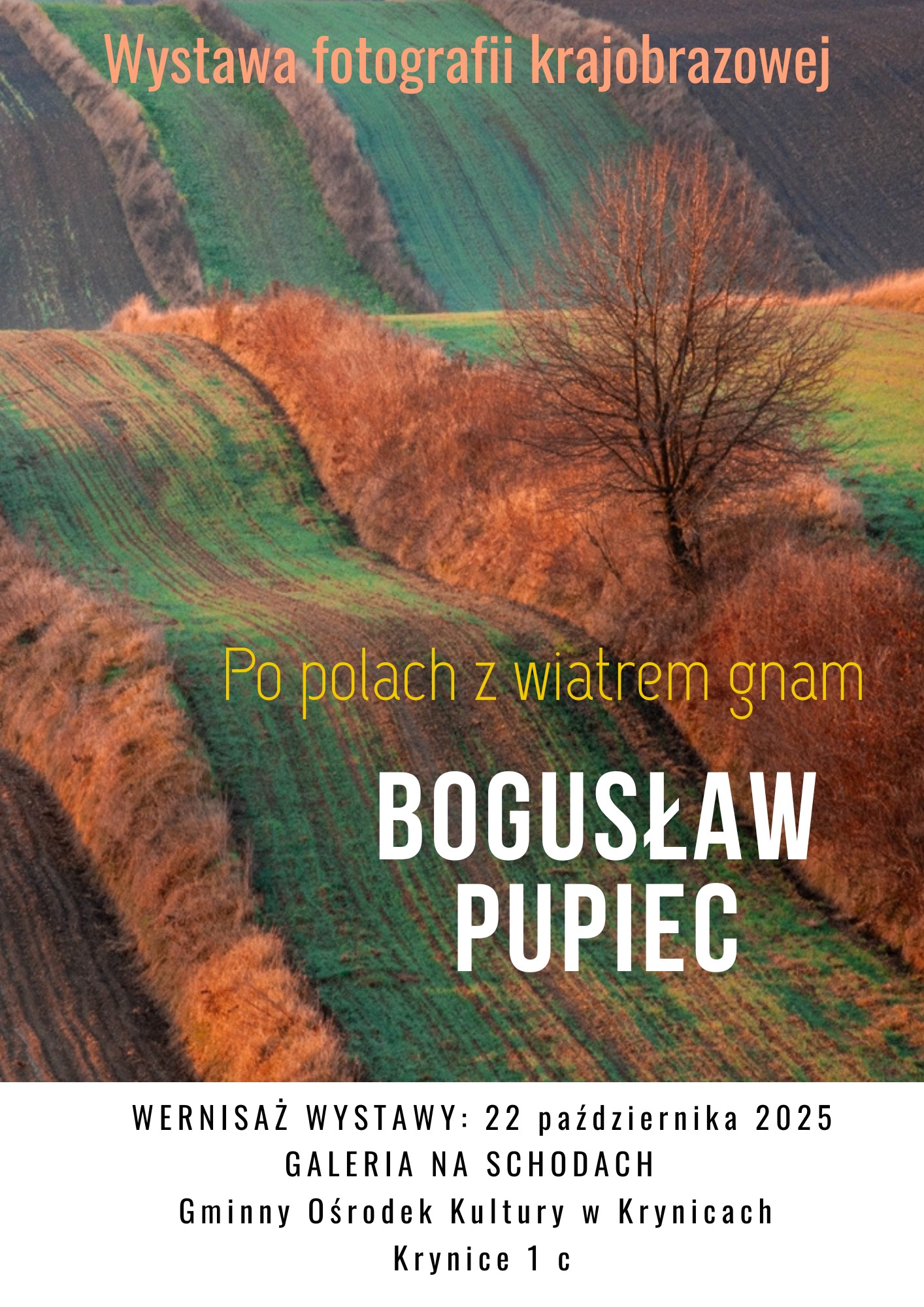 wernisaż wystawy-plakat informacyjny