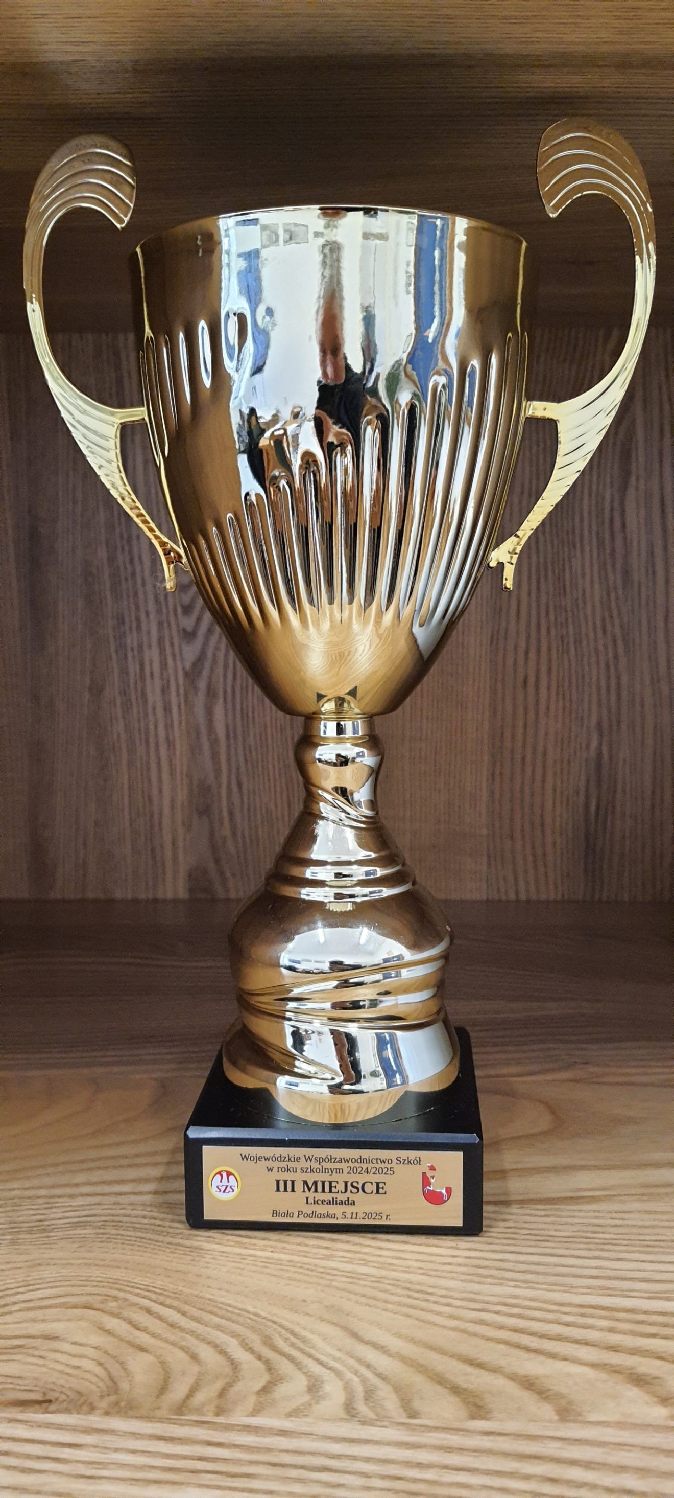 III miejsce we Współzawodnictwie Sportowym Szkół Województwa Lubelskiego za rok szkolny 2024/2025 dla II LO w Tomaszowie Lubelskim